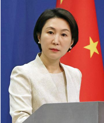 FireShot Capture 110 - 外相解任の理由説明せ