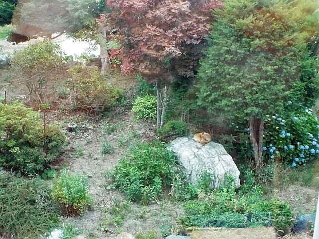DSCF5522