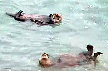 FireShot Capture 220 - 乱獲のせ