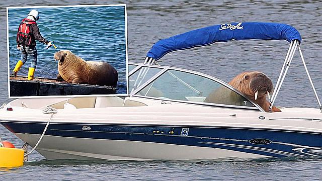 _methode_times_prod_web_bin_0c7e9e70-0064-11ec-88dc-bd5b69fbccd9