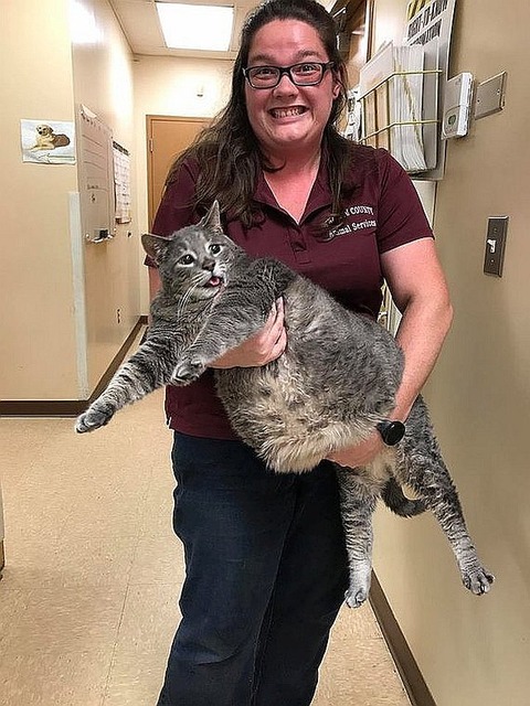 2017-07-23-1500792138-2841928-597366ea15000021008b3151-thumb