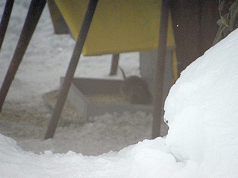 P2200263
