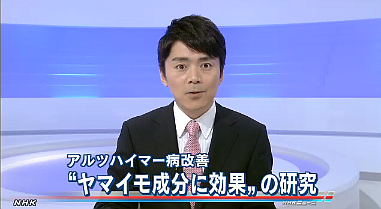 ヤマイモにアルツハイマー改善効果 NHKニュース