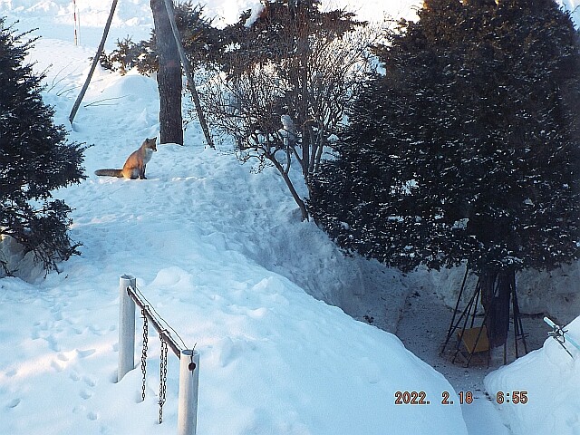 DSCF5865