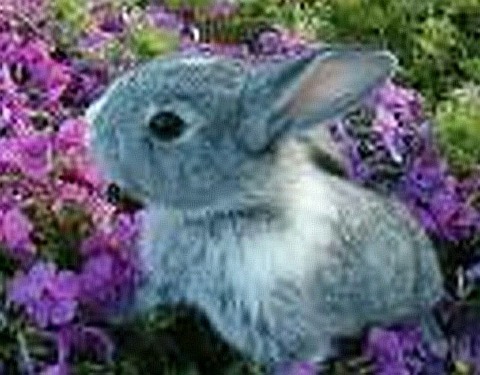 t_hWEXwWUVOyfzEMLl2bN4oMdL2srCEqYPvdA