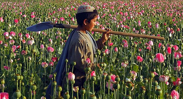 1970671_558 558 2891