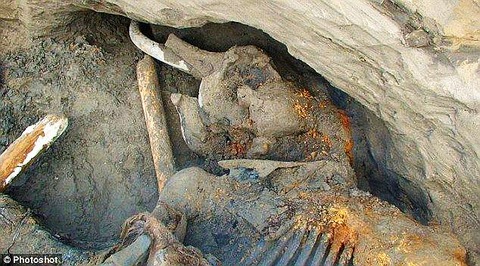 article_2212946_15596CEE000005