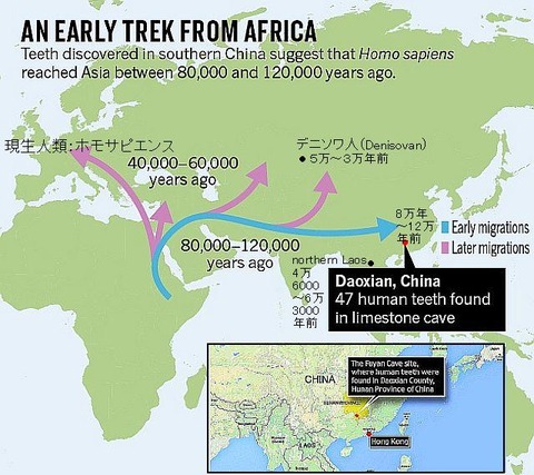 nature-china-teeth-map