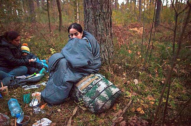 3d84e2e5-866d-41bd-b787-93eb3cd544c6