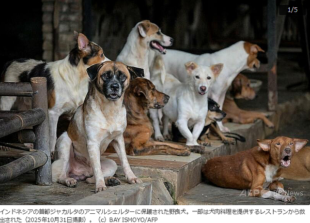 FireShot Capture 447 - 「神は