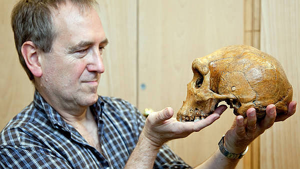 video-stringer-articleLarge