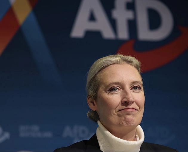 FireShot Webpage Screenshot #1824 - 'Germany's far-right Af