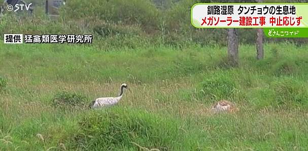 FireShot Webpage Screenshot #195