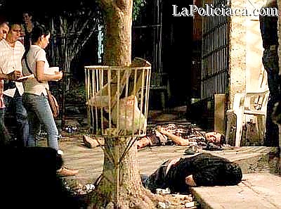 cee1b-matan-a-sobrino-de-el-chapo-en-sinaloa