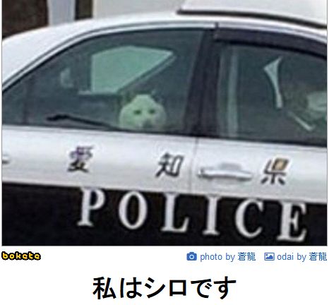FireShot Webpage Screenshot #2131 - 'パンツがバッグに