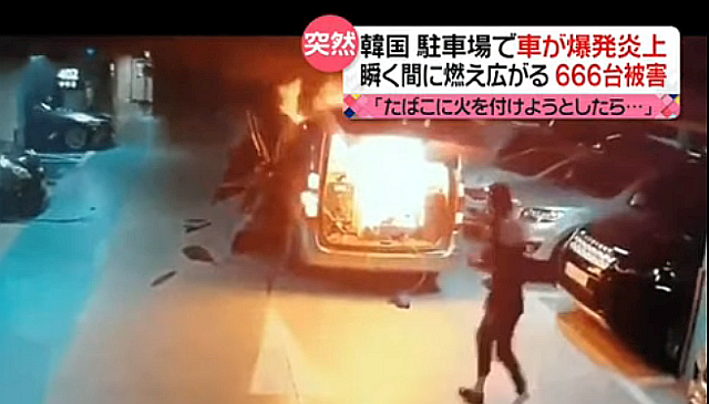 FireShot Webpage Screenshot #632 - '【韓国】