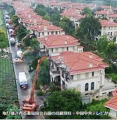 FireShot Webpage Screenshot #452 - '習近平、面従腹背を許さず　