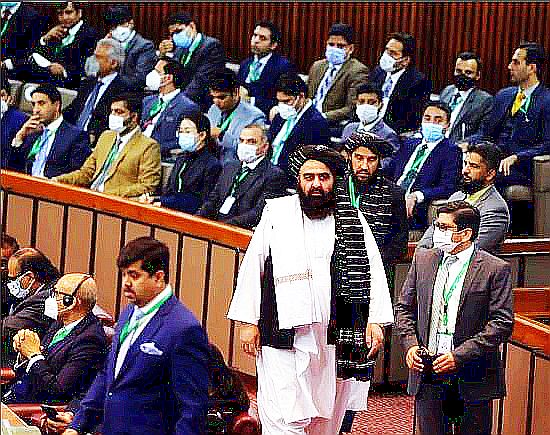 FireShot Webpage Screenshot #985 - 'E4C2DA8B-B21C