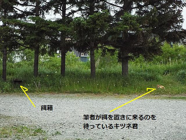 DSCF7249