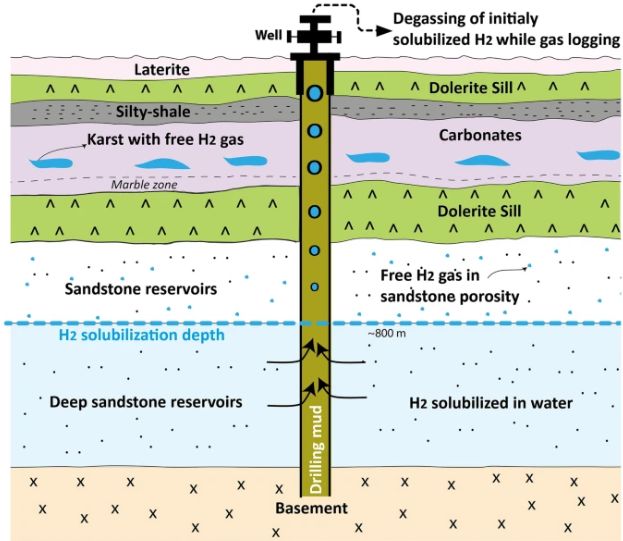 FireShot Webpage Screenshot #945 - '41598_2023_38
