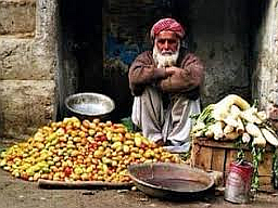 FireShot Capture 295 - images (JPEG Image,