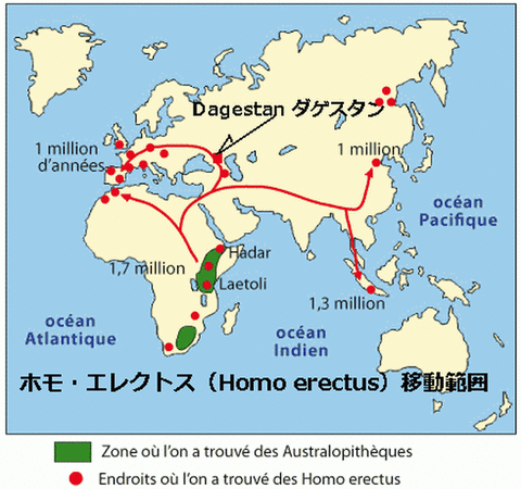 Carte_Homo-erectus_Migratio
