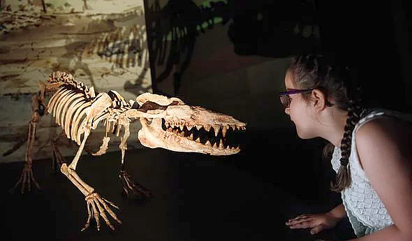 FireShot Webpage Screenshot #652 - 'Egypt breakthroug