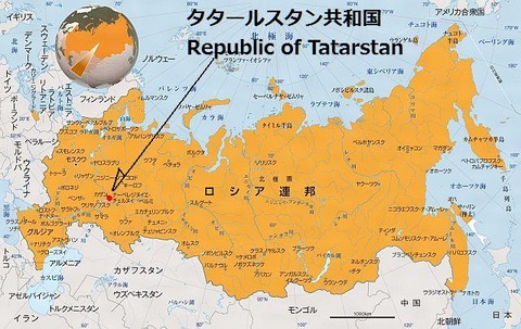 81306024012642