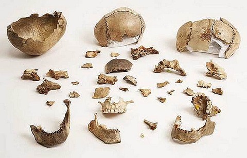 skull-cup-fragments