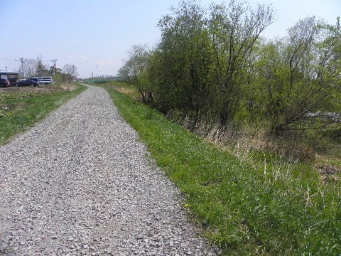 P5110066