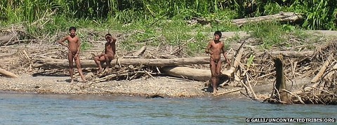 _58196767_mashcopiro3