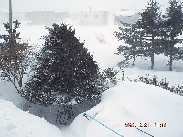 DSCF5886