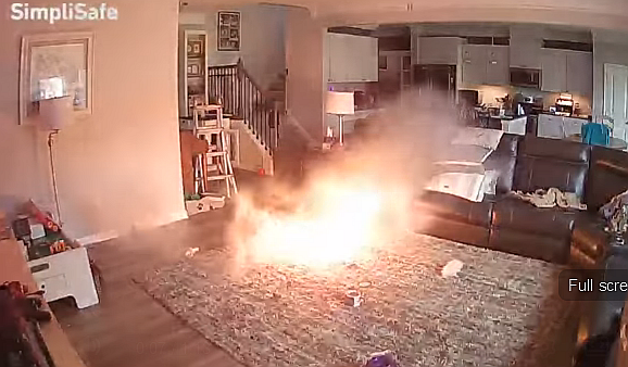 FireShot Capture 234 - Dog b