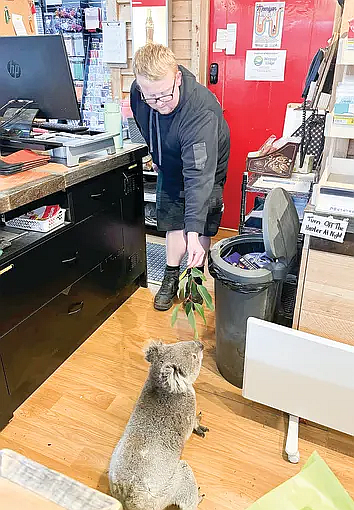 FireShot Capture 157 -