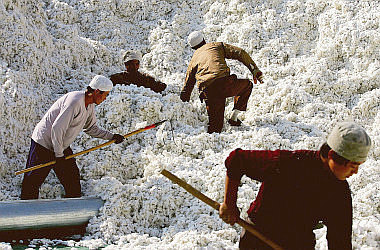 c_tuvuirbvrhiowxufhf4z