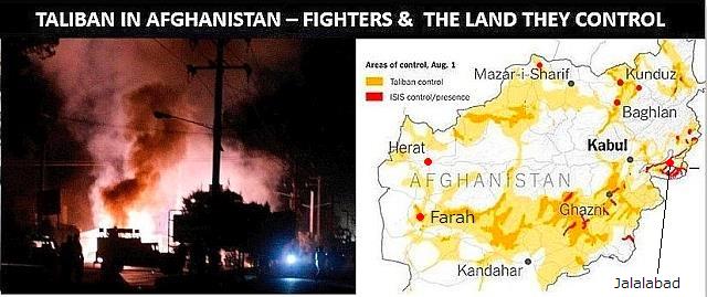 銃とサフランと同士討ち アフガン 北の国から猫と二人で想う事