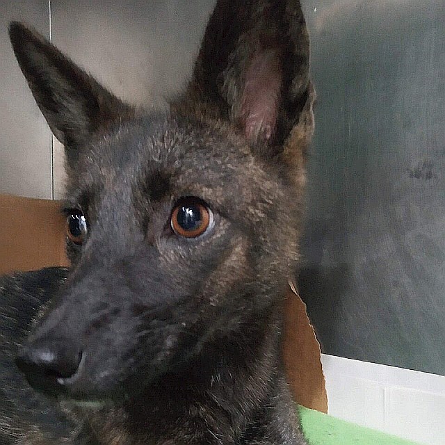 TELEMMGLPICT0003jhuy