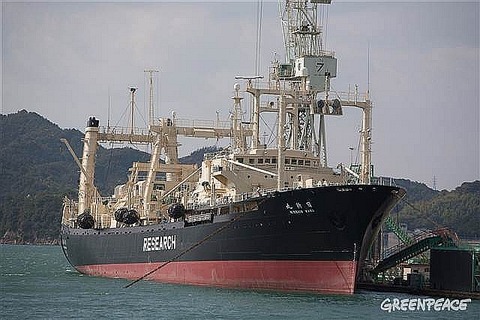 17668_34541