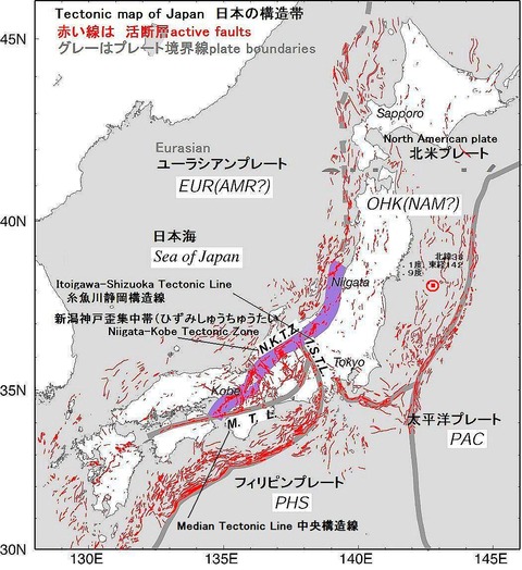 niigata_kobenappi11