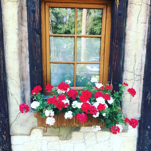 35368314_231055287703047_887183425507688448_n