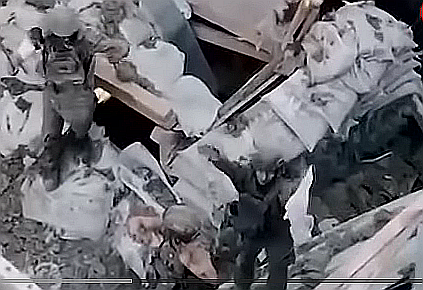 FireShot Capture 648 - Group o