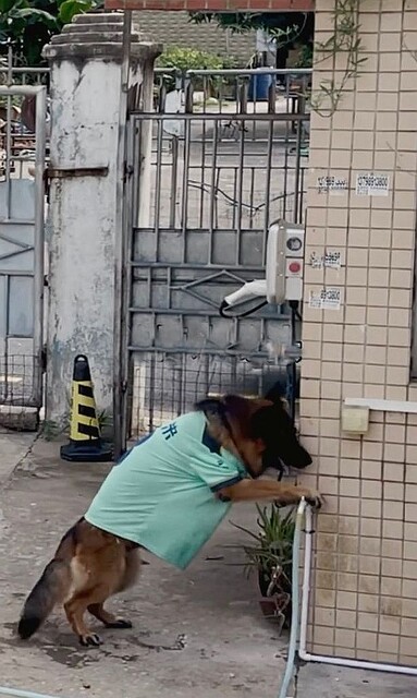 0_tap