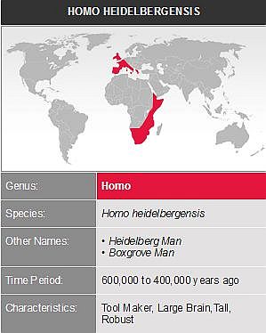 FireShot Webpage Screenshot #2224 - 'Homo