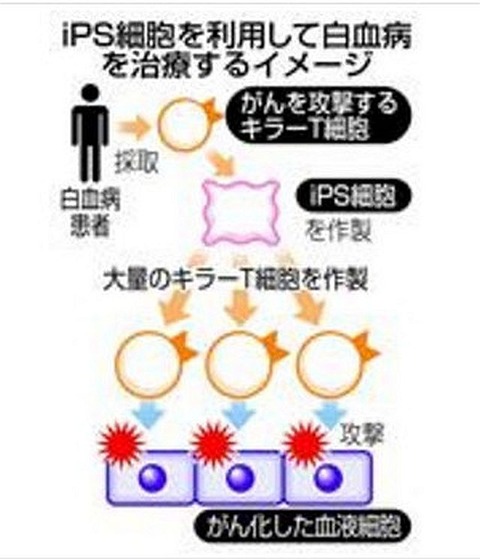 photo_2