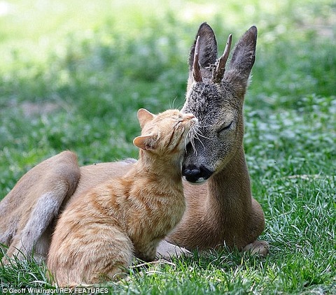 article-2027994-0D797F0300000578-293_634x557