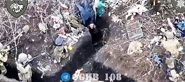 FireShot Webpage Screenshot #2436 - 'Ukrainian