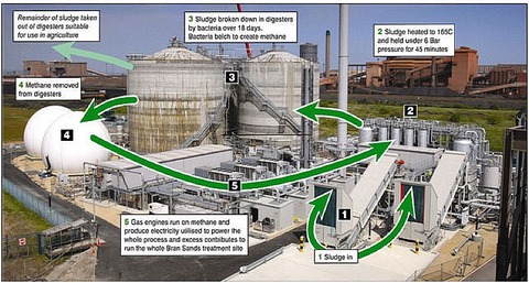 Bran_Sands_advanced_digestion_plant