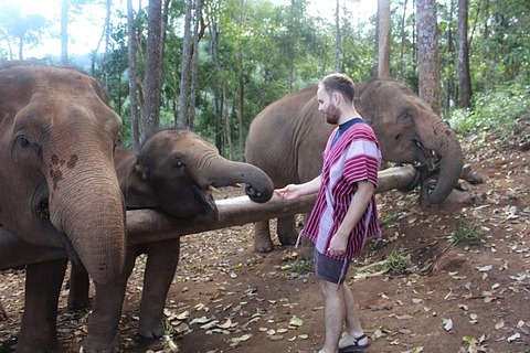 Backpacking-Thailand-elephant-sanctuary
