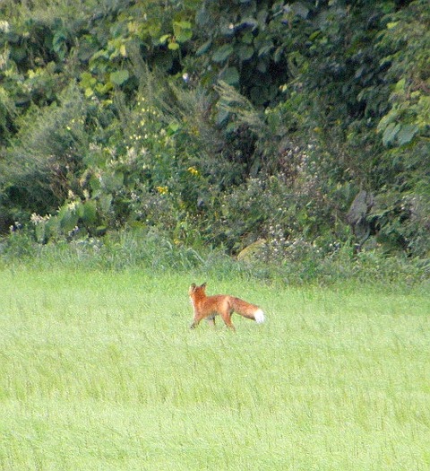 P8250042