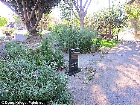 article-2019485-0D30AAF600000578-109_468x351